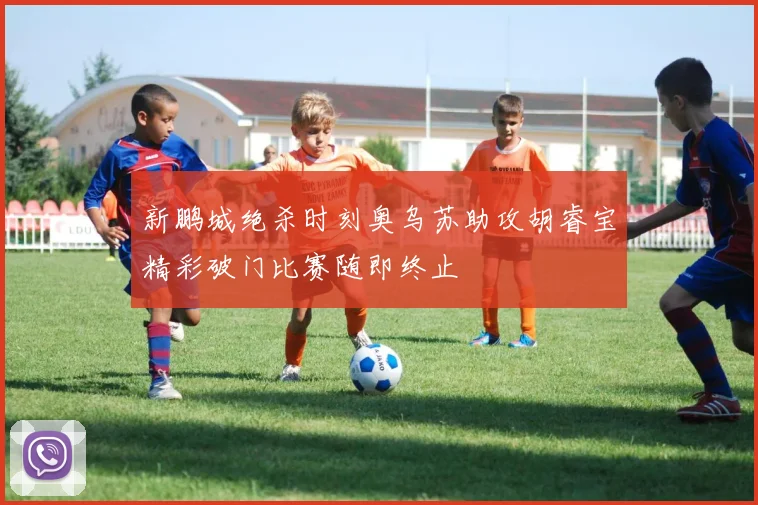 新鹏城绝杀时刻奥乌苏助攻胡睿宝精彩破门比赛随即终止