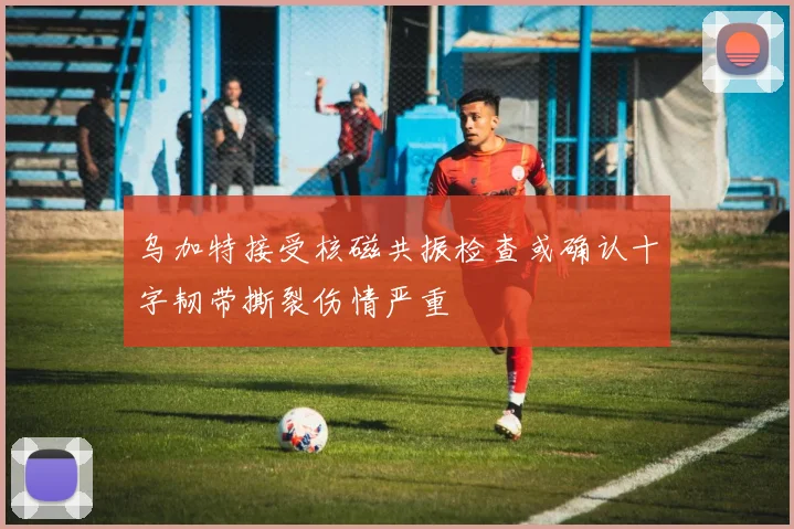 乌加特接受核磁共振检查或确认十字韧带撕裂伤情严重