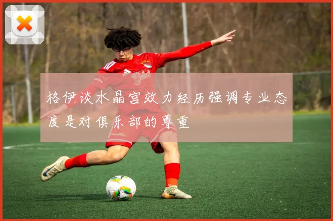 格伊谈水晶宫效力经历强调专业态度是对俱乐部的尊重