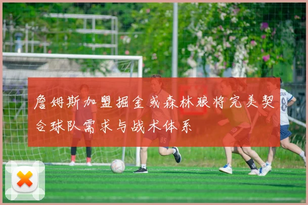 詹姆斯加盟掘金或森林狼将完美契合球队需求与战术体系